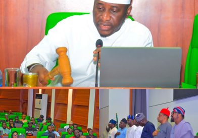 Reps Launch Probe Into Alleged Abuses In Scholarship Payments To Nigerian Students Abroad