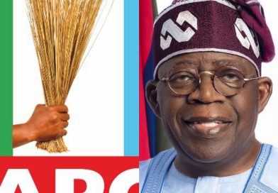 2027: Ondo APC Exco Endorses Tinubu