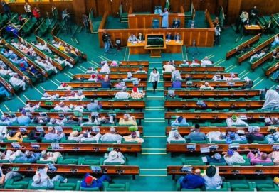NELFUND LOAN: Reps Committee Threatens Sanction Against Defaulting Eligible Tertiary Institutions NELFUND LOAN: Reps Committee Threatens Sanction Against Defaulting Eligible Tertiary Institutions